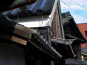 2025/11/21(4)@ɐA͍{ʂ