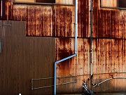 2026/01/17(3)�@�ɓ�