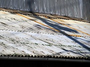 2026/01/17(4)�@�ɓ�