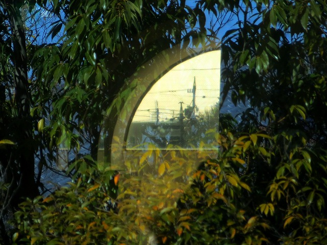 2026/01/17(5)�@�ɓ�