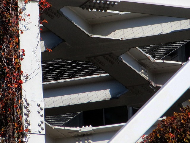 2026/01/18(7)�@����