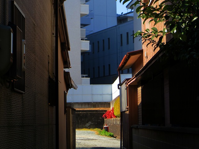 2026/01/18(8)�@����