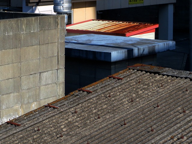 2026/01/18(9)�@����