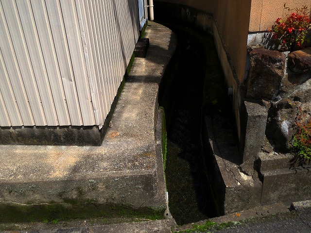 2026/04/11(2)�@���R��