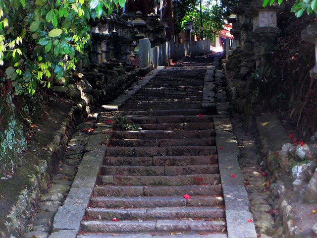 2026/04/11(3)�@���R���A�呺�_��