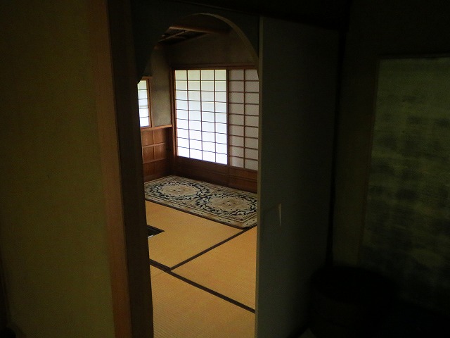 2026/04/11(5)�@���R���A�ɉ�s �~���[�W�A���R�]���