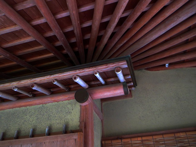 2026/04/11(7)�@���R���A�ɉ�s �~���[�W�A���R�]���