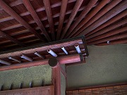 2026/04/11(7)�@���R���A�ɉ�s �~���[�W�A���R�]���