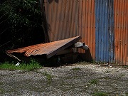 2026/04/11(10)�@���R��