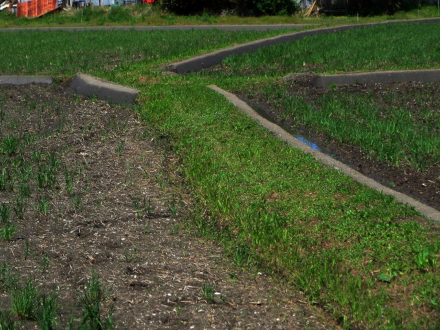 2026/04/11(14)�@���R��