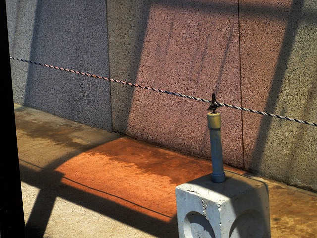 2026/04/11(15)�@���R��