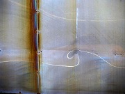 2026/04/11(16)�@���R���A�R���w