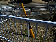 2026/04/16(2)�@�L�c�A���ˋ���