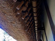 2026/04/16(9)�@�L�c�A�L�c�s�{���L�O���|�̐X