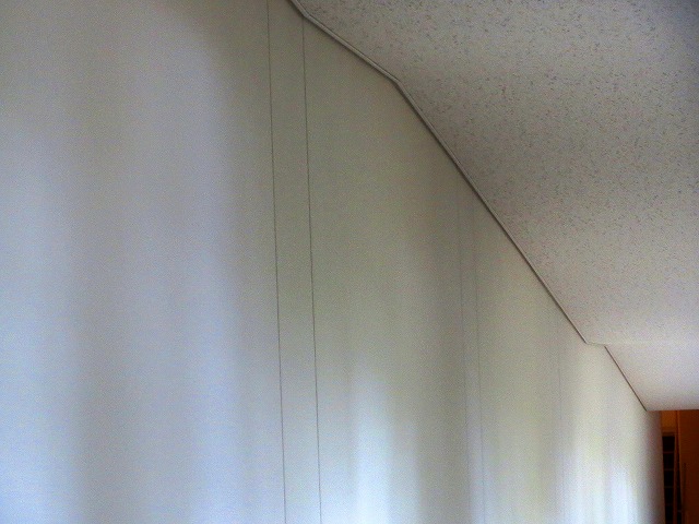 2026/05/07(1)�@��H�����A�p���~�^�~���[�W�A��
