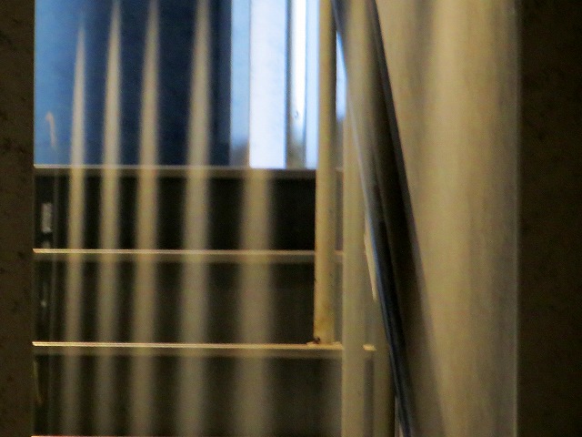 2026/05/16(1)�@���É��A���≮�{��