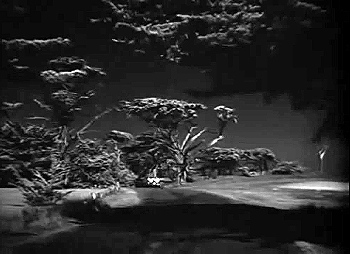 『レベッカ』 1940、約2時間2分：照り返しを受ける木立