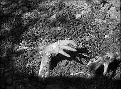 『ミイラの呪い』 1944　約22分：アナンカ復活