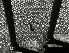 『オセロ』 1952　約1時間4分：波形紋様の広場(?)、上から