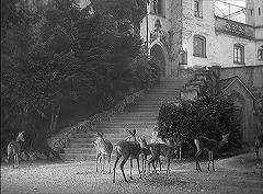 『わが青春のマリアンヌ』 1955　約1時間20分：玄関附近と階段＋鹿たち