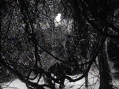 『蜘蛛巣城』 1957　約1時間25分：蜘蛛手の森　奥の土手を右へ駆け抜ける白い妖婆