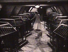 『顔のない眼』 1960　約1時間26分：地下、台形の部屋＋犬の檻群