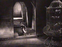 『顔のない眼』 1960　約1時間27分：地下、台形の部屋から台形の廊下＋犬と鳥籠