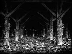 『恐怖の足跡』 1962　約1時間21分：床下