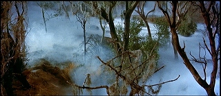 『姦婦の生き埋葬』 1962　約35分：霧の木立