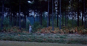 『吸血鬼の接吻』 1963　約1時間24分：風吹きすさぶ森のマリアンヌ