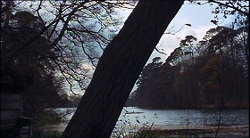 『フランケンシュタインの怒り』 1964　約0分：水辺の森
