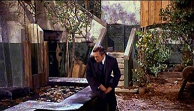 『妖女ゴーゴン』 1964　約30分：画家宅、門と階段の間の前庭＋池