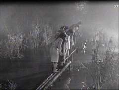 『ウルトラＱ』第9話「クモ男爵」 1966　約6分：丸太の橋