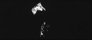 『薮の中の黒猫』 1968　約9分：馬に乗った武士の頭上で宙返りする白い姿