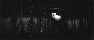 『薮の中の黒猫』 1968　約12分：竹藪の奥の門