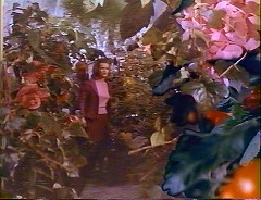 『襲い狂う呪い』 1965　約50分：温室＋肥大化した植物