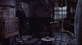 『蛇女の脅怖』 1966　約1時間12分：地下一階(?)の物置部屋