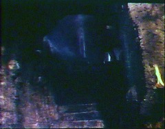 『吸血魔のいけにえ』 1967　約28分：地下への階段、下から