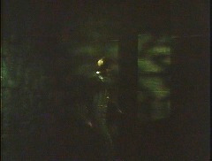 『ドラキュラ復活！ 血のエクソシズム』 1970　約59分：玄関右脇の扉口から入った廊下
