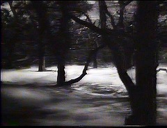 『ヤング･フランケンシュタイン』 1974　約17分：森＋夜霧、狼の遠吠え