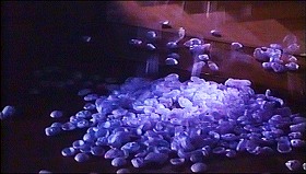 『デ　ジャ　ヴュ』 1987　約1時間34分：床に降り積もる発泡スチロールの小片