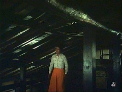 『犬神家の一族』 1976　約1時間23分：屋根裏