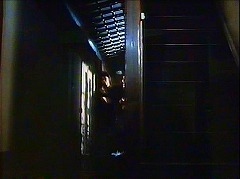 『麗猫伝説』 1983　約30分：左に廊下、右に階段