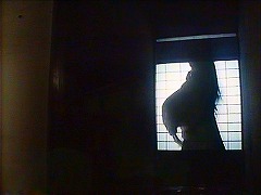 『麗猫伝説』 1983　約1時間12分：奥に障子のある廊下