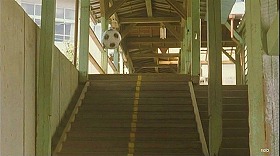 『学校の怪談』 1995　約12分：旧校舎への階段＋勝手に跳ねるサッカーボール