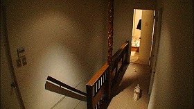 『カルト』 2012　約18分：二階廊下、ボールと犬