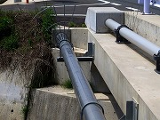 津の何某かなど　2025/05/14