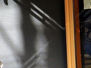 津の何某かなど　2025/10/20