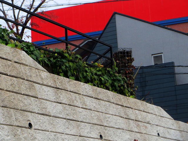 �Ẩ��^���Ȃǁ@2025/12/20