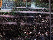 津の何某かなど　2026/03/21